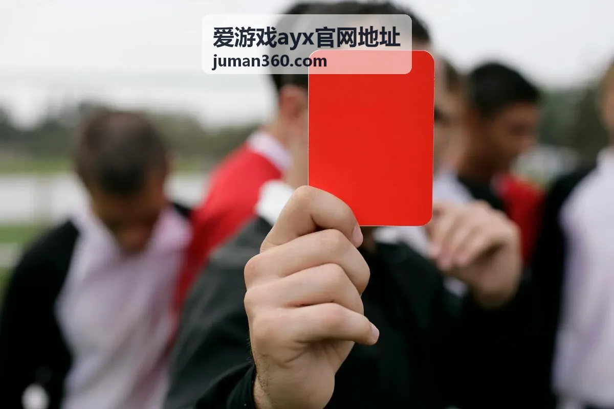 爱游戏ayx官网地址账号安全设置流程示意图