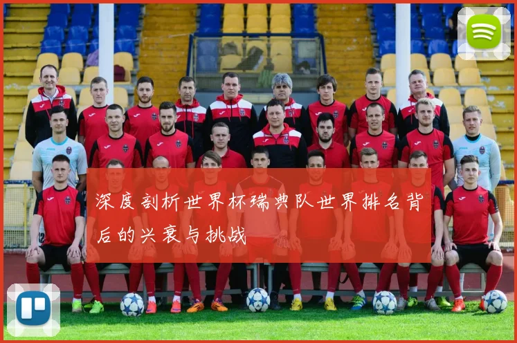 深度剖析世界杯瑞典队世界排名背后的兴衰与挑战