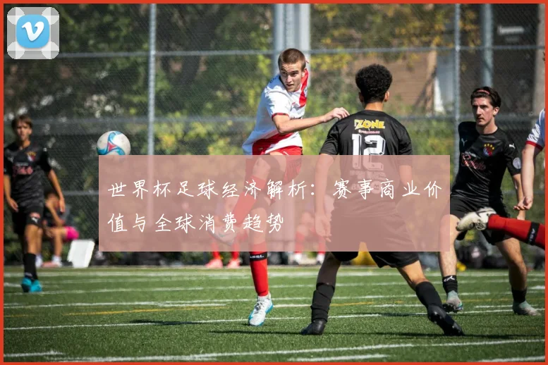 世界杯足球经济解析:赛事商业价值与全球消费趋势