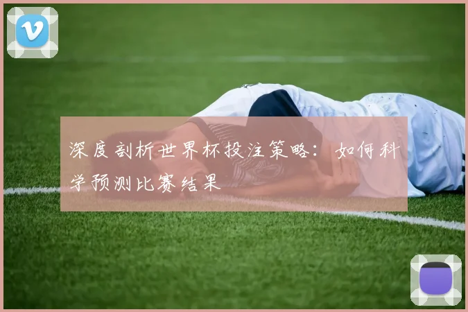 深度剖析世界杯投注策略:如何科学预测比赛结果