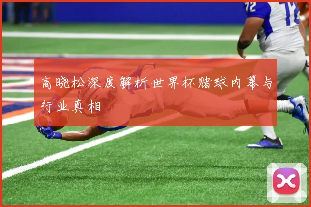 高晓松深度解析世界杯赌球内幕与行业真相